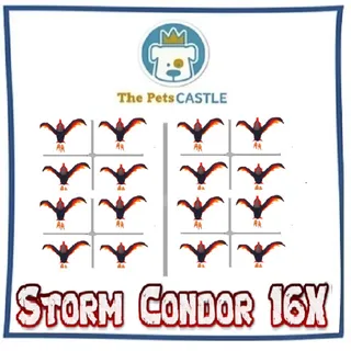 Storm Condor