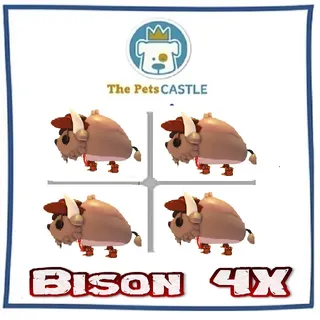 Bison