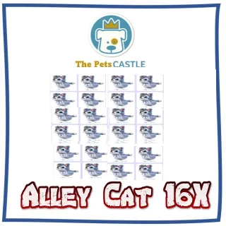 Alley cat 16X