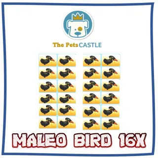 Maleo Bird 16X