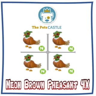 Neon Brown Chested Pheasant 4X