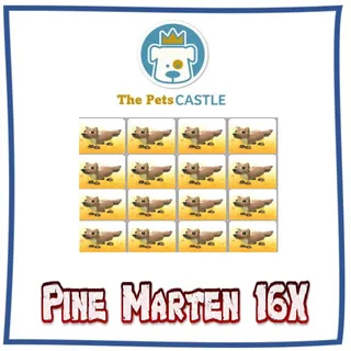 Pine Marten 16X