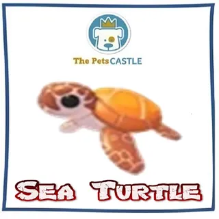 Sea Turtle