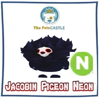 Jacobin Pigeon  Neon