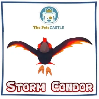 Storm Condor