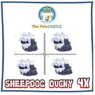 Sheepdog Ducky