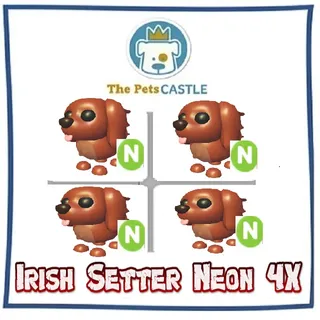 Irish Setter Neon 