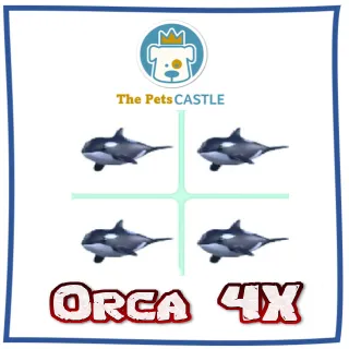 Orca 4X