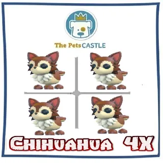 Chihuahua 4X