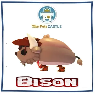 Bison