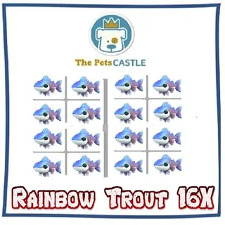 Rainbow Trout