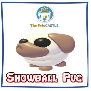 snowball pug