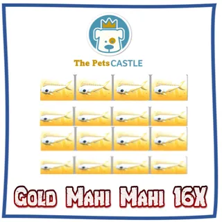 Gold Mahi Mahi 16X