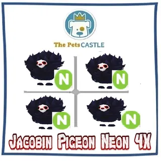 Jacobin Pigeon Neon