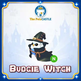 Budgie Witch Neon