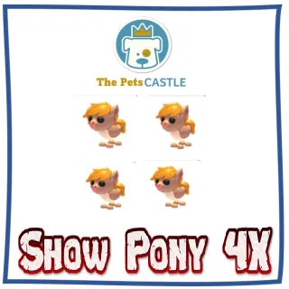 Show Pony 4X