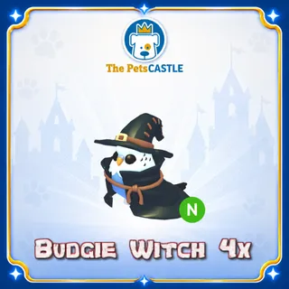Budgie Witch Neon 4X