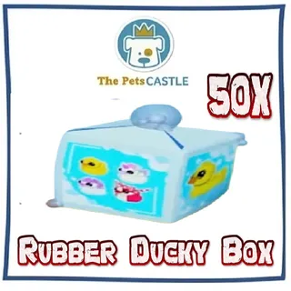 Rubber Ducky Box