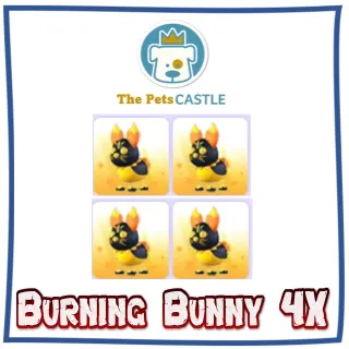 Burning Bunny 4X