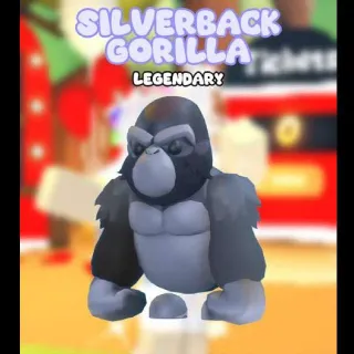 SILVERBACK GORILLA