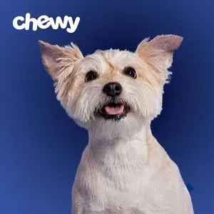 $50.00 USD Chewy gift card