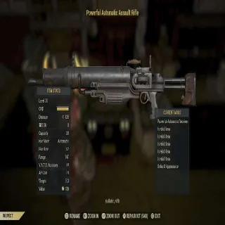 Invalid Assault Rifle