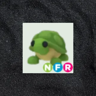 NFR Turtle