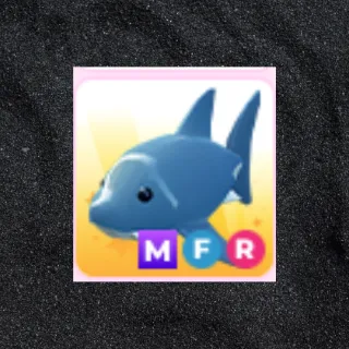 MFR Shark