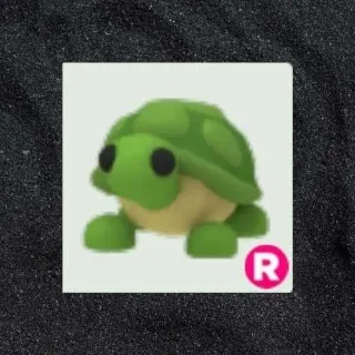 R Turtle