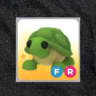 FR Turtle