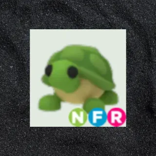 NFR Turtle