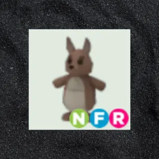 NFR Kangaroo