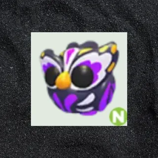 N Grave Owl