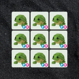 9x FR Turtle