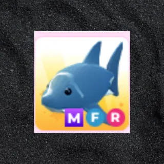 MFR Shark