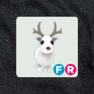 FR Arctic Reindeer