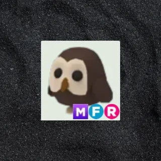 MFR Owl