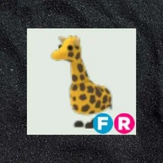 FR Giraffe