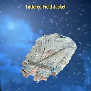 Tattered Field Jacket