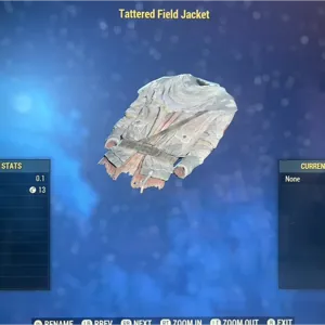 2 Tattered Field Jackets