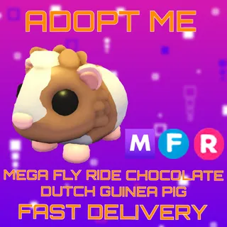 MFR CHOCOLATE DUTCH GUINEA PIG