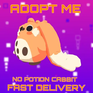 NO POTION CABBIT