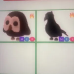 Mega owl + mega crow