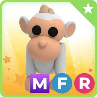 MFR Albino Monkey