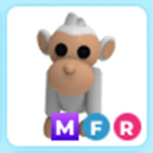 MFR Albino Monkey
