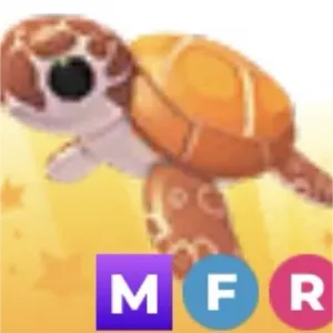 MFR Sea Turtle