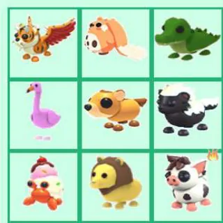 Pet