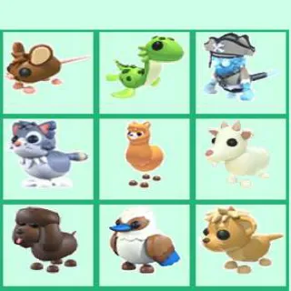 Exotic Pets Bundle