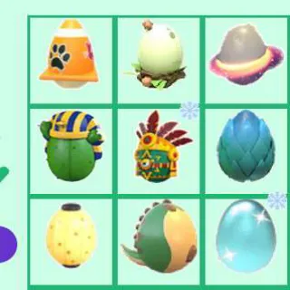 Eggs Bundle