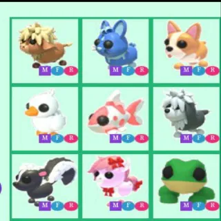Bundle